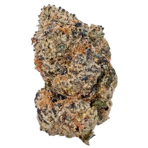 Cherry Zashimi