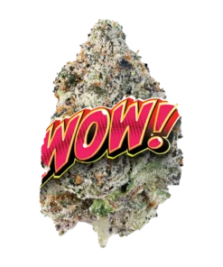 WOW STRAIN